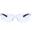 PW046 PW38 Portwest Pan View Spectacles Clear colour image